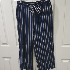 Pre-owned *ELLEN TRACY* Striped Blue and White Women's Pants